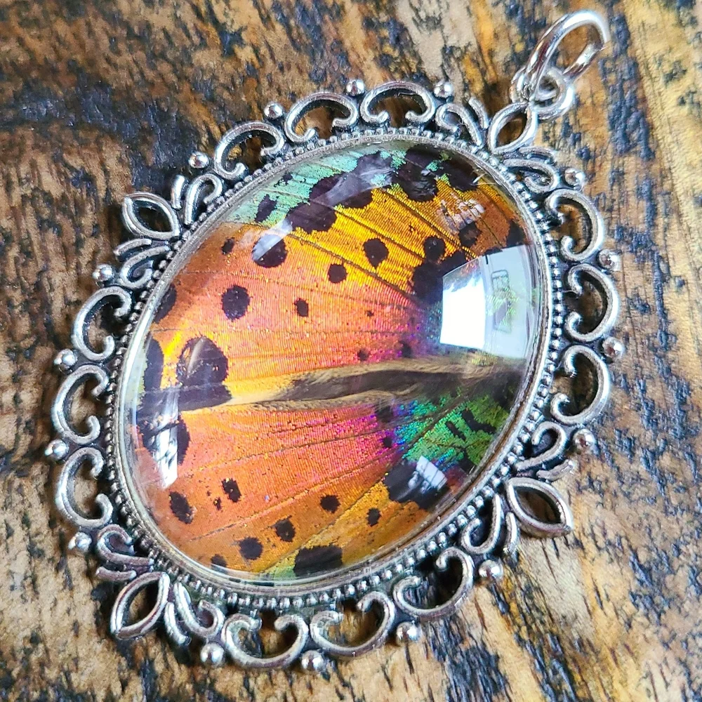 Genuine Butterfly Wing Pendant Madagascar Sunset Moth - Picture 2 of 6